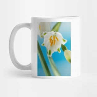 Leucojum aestivum  &#39;Gravetye Giant&#39;  AGM  Summer snowflake Mug